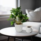 Műnövény dekoráció - borostyán - 20 x 9 cm