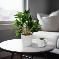 Műnövény dekoráció - borostyán - 20 x 9 cm