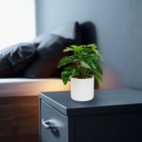 Műnövény dekoráció - filodendron - zöld - 20 x 8 cm