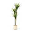 Műnövény dekoráció - Dracaena Marginata - zöld - 1,2 m Műnövény dekoráció - Dracaena Marginata - zöld - 1,2 m