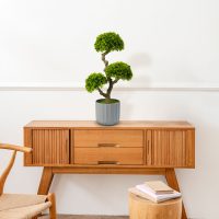 Műnövény dekoráció - bonsai - 55 x 27 cm