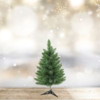 Műfenyő - 60 cm - Nordmann - PVC - sötétzöld