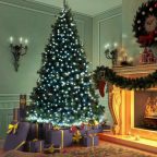   Fényfüzér - 50 db LED - hidegfehér - hálózati - 5 m - 8 program