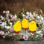 Húsvéti dekoráció - csibe szett - sárga - 6,7 x 5 cm - 3 db / csomag Húsvéti dekoráció - csibe szett - sárga - 6,7 x 5 cm - 3 db / csomag