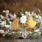 Húsvéti dekoráció - csibe - 3 féle - 11 x 7 x 6 cm Húsvéti dekoráció - csibe - 3 féle - 11 x 7 x 6 cm