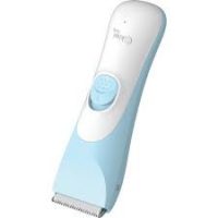 Hajnyíró Kiwi Baby 