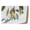 Kép DKD Home Decor Bird 55 x 2,5 x 70 cm Trópusi madarak (4 Darabok) MOST 131785 HELYETT 84521 Ft-ért!