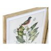 Kép DKD Home Decor Bird Trópusi madarak (55 x 2,5 x 70 cm) (4 egység) MOST 132605 HELYETT 97344 Ft-ért!