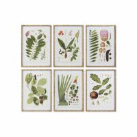   Kép DKD Home Decor 50 x 2,8 x 70 cm modern Botanikus növények (6 Darabok) MOST 219345 HELYETT 140683 Ft-ért!