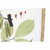 Kép DKD Home Decor 50 x 2,8 x 70 cm modern Botanikus növények (6 Darabok) MOST 219345 HELYETT 140683 Ft-ért!