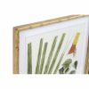 Kép DKD Home Decor 50 x 2,8 x 70 cm modern Botanikus növények (6 Darabok) MOST 219345 HELYETT 140683 Ft-ért!