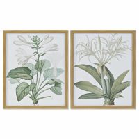   Kép DKD Home Decor 43 x 3 x 53 cm Botanikus növények (2 egység) MOST 119464 HELYETT 75600 Ft-ért!