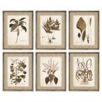   Kép DKD Home Decor 55 x 2,5 x 70 cm modern Botanikus növények (6 Darabok) MOST 214665 HELYETT 137682 Ft-ért!