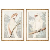   Kép DKD Home Decor Papagáj Trópusi 50 x 3 x 70 cm26 x 100 cm (2 egység) MOST 81945 HELYETT 51855 Ft-ért!