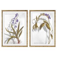   Kép DKD Home Decor 50 x 2 x 70 cm modern Botanikus növények (2 egység) MOST 77351 HELYETT 48953 Ft-ért!