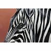 Kép DKD Home Decor Zebra (80 x 3 x 160 cm) MOST 98984 HELYETT 62636 Ft-ért!