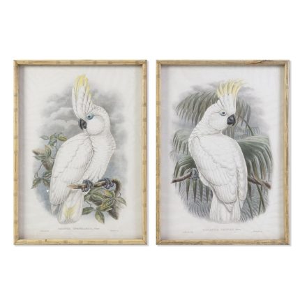 Kép DKD Home Decor 50 x 2,8 x 70 cm Gyarmati Papagáj (2 egység) MOST 80963 HELYETT 51235 Ft-ért!