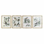   Kép DKD Home Decor 50 x 2,5 x 65 cm Shabby Chic Botanikus növények (4 Darabok) MOST 158677 HELYETT 101775 Ft-ért!