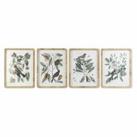   Kép DKD Home Decor 50 x 2,5 x 65 cm Shabby Chic Botanikus növények (4 Darabok) MOST 158677 HELYETT 101775 Ft-ért!