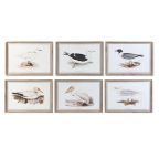   Kép DKD Home Decor madarak (70 x 2,5 x 50 cm) (6 egység) MOST 185352 HELYETT 141072 Ft-ért!