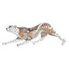 Dekoratív Figura DKD Home Decor Fehér Többszínű Narancszín Fehér/Narancs Leopárd Gyarmati 30 x 40 cm 37 x 10 x 13 cm MOST 19808 HELYETT 11591 Ft-ért!