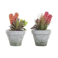   Dekor növény DKD Home Decor Piros Szürke Narancszín EVA PE (16 x 12,5 x 19,5 cm) (2 egység) MOST 15399 HELYETT 9218 Ft-ért!
