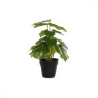   Dekor növény DKD Home Decor Fekete Zöld PVC PP (20 x 20 x 30 cm) MOST 10604 HELYETT 6110 Ft-ért!