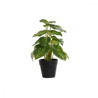   Dekor növény DKD Home Decor Fekete Zöld PVC PP (20 x 20 x 30 cm) MOST 9558 HELYETT 5722 Ft-ért!