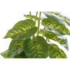 Dekor növény DKD Home Decor PVC polipropilén 20 x 20 x 30 cm MOST 12066 HELYETT 6771 Ft-ért!