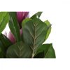 Dekor növény DKD Home Decor Rózsaszín Zöld PE (60 x 60 x 125 cm) MOST 64342 HELYETT 40718 Ft-ért!