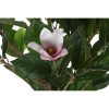 Dekor növény DKD Home Decor Rózsaszín Zöld PE (60 x 60 x 125 cm) MOST 64342 HELYETT 40718 Ft-ért!