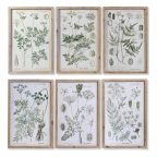   Kép DKD Home Decor Fenyő Kristály 40 x 2 x 60 cm Botanikus növények (6 Darabok) MOST 167865 HELYETT 107662 Ft-ért!