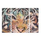   Szett 3 képpel DKD Home Decor Gyarmati Tigris 140 x 3,8 x 100 cm MOST 61287 HELYETT 38784 Ft-ért!