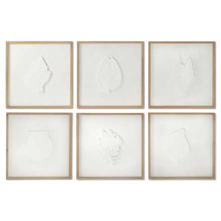 Kép DKD Home Decor Kagylók 50 x 2 x 50 cm Mediterrán (6 Darabok) MOST 142226 HELYETT 91218 Ft-ért!