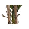 Dekor növény DKD Home Decor banán (90 x 90 x 250 cm) MOST 138088 HELYETT 68886 Ft-ért!