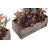 Dekor növény DKD Home Decor 19 x 9 x 22 cm Rózsaszín Narancszín Kaktusz Eva Gumi polipropilén (2 egység) MOST 31618 HELYETT 18503 Ft-ért!