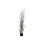   Dekor növény DKD Home Decor Juncus (35 x 35 x 120 cm) MOST 40412 HELYETT 23654 Ft-ért!