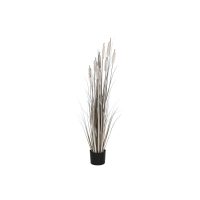   Dekor növény DKD Home Decor Juncus (35 x 35 x 120 cm) MOST 40412 HELYETT 23654 Ft-ért!