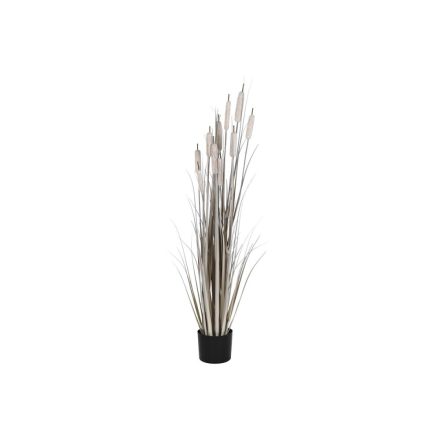 Dekor növény DKD Home Decor Juncus (35 x 35 x 120 cm) MOST 40412 HELYETT 23654 Ft-ért!