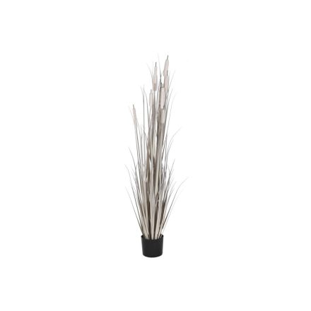 Dekor növény DKD Home Decor Juncus (45 x 45 x 150 cm) MOST 54666 HELYETT 34592 Ft-ért!