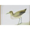 Kép DKD Home Decor madarak Cottage 30 x 2 x 30 cm (6 egység) MOST 86307 HELYETT 54616 Ft-ért!