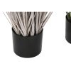 Dekor növény Home ESPRIT PVC Polietilén 35 x 35 x 120 cm (2 egység) MOST 57930 HELYETT 36659 Ft-ért!