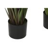 Dekor növény Home ESPRIT PVC Polietilén 35 x 35 x 120 cm (2 egység) MOST 70459 HELYETT 44588 Ft-ért!