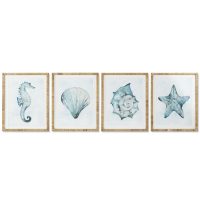   Kép Home ESPRIT Mediterrán Kagyló( héj) 55 x 2,5 x 70 cm (4 egység) MOST 182212 HELYETT 116864 Ft-ért!