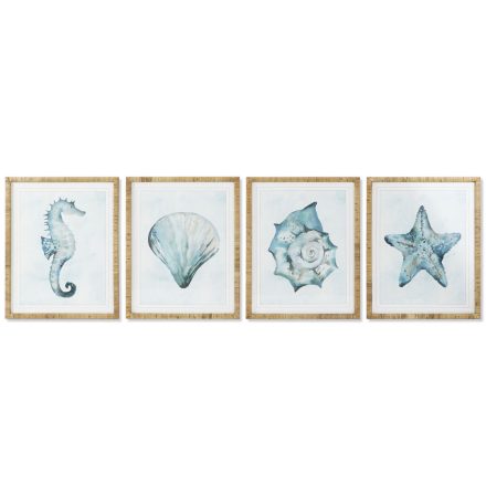 Kép Home ESPRIT Mediterrán Kagyló( héj) 55 x 2,5 x 70 cm (4 egység) MOST 182212 HELYETT 116864 Ft-ért!