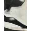 Kép Home ESPRIT Hölgy Aranysàrga 100 x 4 x 120 cm (2 egység) MOST 168113 HELYETT 107827 Ft-ért!