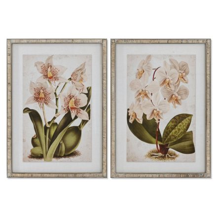 Kép Home ESPRIT Trópusi Orchidea 50 x 2,5 x 70 cm (2 egység) MOST 92549 HELYETT 58568 Ft-ért!