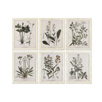   Kép Home ESPRIT Shabby Chic Botanikus növények 40 x 1,5 x 50 cm (6 egység) MOST 172707 HELYETT 110771 Ft-ért!