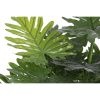 Dekor növény Home ESPRIT PVC 80 x 80 x 100 cm MOST 42539 HELYETT 24894 Ft-ért!