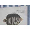 Kép Home ESPRIT Kék Hal 40 X 2,5 X 55 cm (4 egység) MOST 135312 HELYETT 86786 Ft-ért!